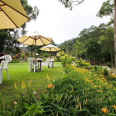 Hemerocallis Country House Nanzhuang Exterior foto